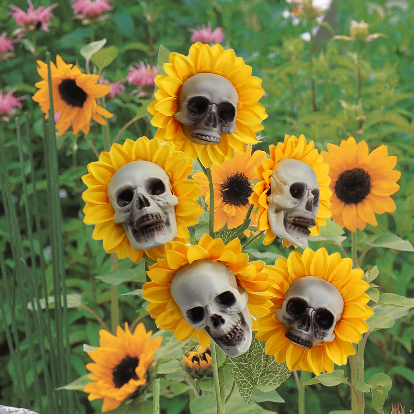 Skull sunflower